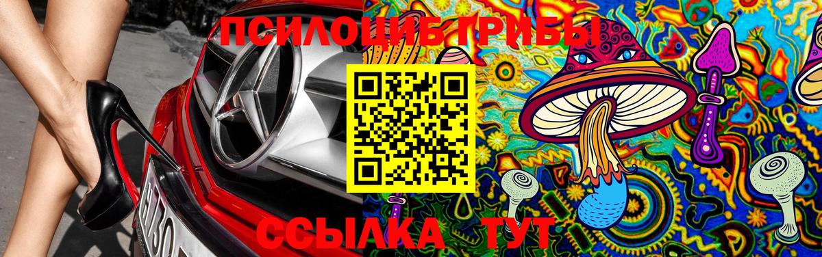 Аксай  Псилоцибиновые грибы Psilocybe  где продают наркотики  Вход с VPN 